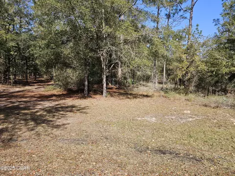 000 Antler Trl, Chipley, FL 32428 photo 10