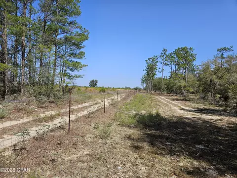 000 Antler Trl, Chipley, FL 32428 photo 15