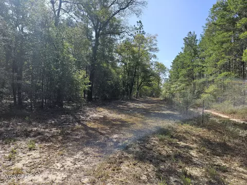 000 Antler Trl, Chipley, FL 32428 photo 18