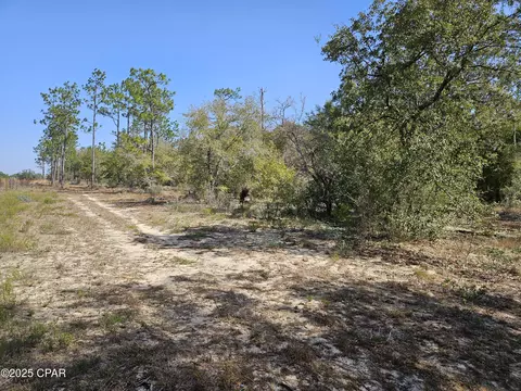 000 Antler Trl, Chipley, FL 32428 photo 17