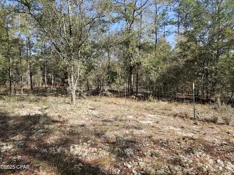 000 Antler Trl, Chipley, FL 32428 photo 9