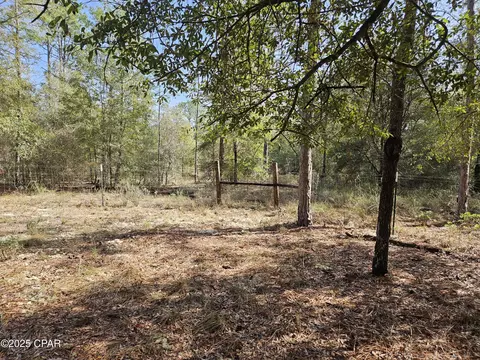 000 Antler Trl, Chipley, FL 32428 photo 8
