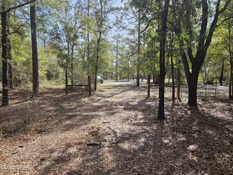 000 Antler Trl, Chipley, FL 32428 photo 5