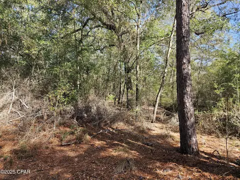 000 Antler Trl, Chipley, FL 32428 photo 7