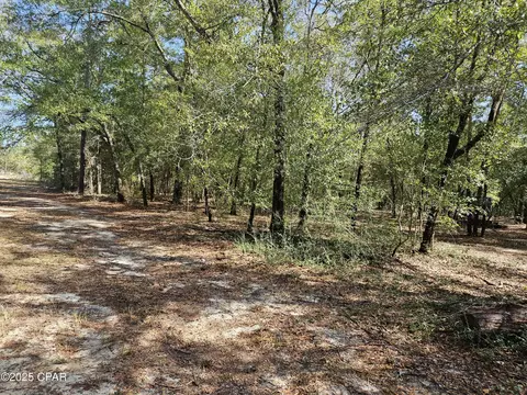 000 Antler Trl, Chipley, FL 32428 photo 13