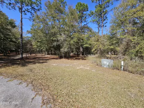 000 Antler Trl, Chipley, FL 32428 photo 22