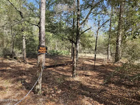 000 Antler Trl, Chipley, FL 32428 photo 3
