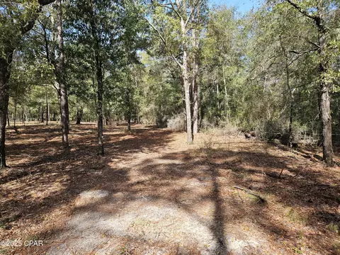 000 Antler Trl, Chipley, FL 32428 photo 4