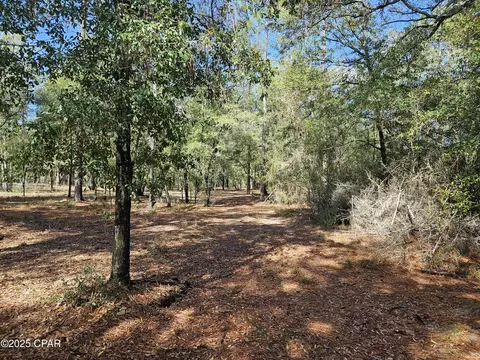 000 Antler Trl, Chipley, FL 32428 photo 6