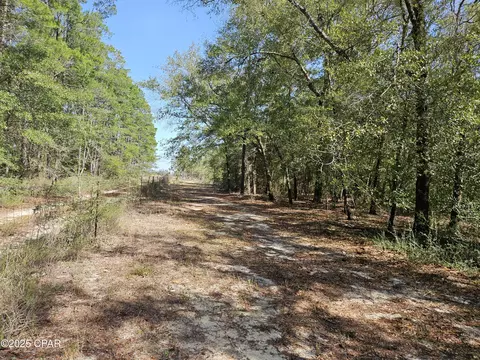 000 Antler Trl, Chipley, FL 32428 photo 12