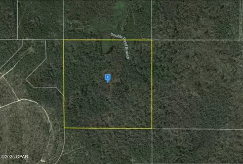 0 Syfrett Rd, Chipley, FL 32428