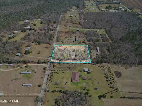 16767 Morgan Tucker Rd, Altha, FL 32421 photo 3