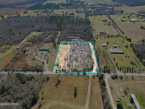 16767 Morgan Tucker Rd, Altha, FL 32421