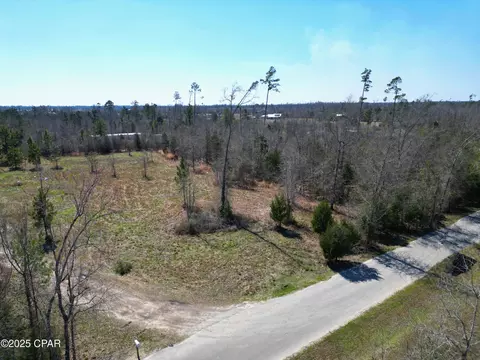16767 Morgan Tucker Rd, Altha, FL 32421 photo 4
