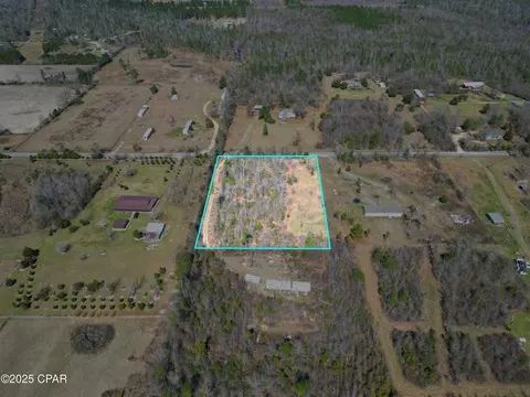 16767 Morgan Tucker Rd, Altha, FL 32421 photo 6