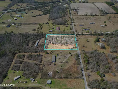 16767 Morgan Tucker Rd, Altha, FL 32421 photo 7