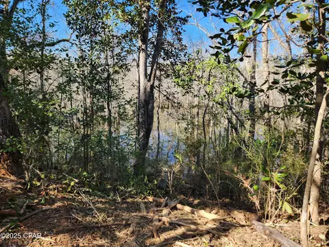 Nnn NW Cr 333, Bristol, FL 32321