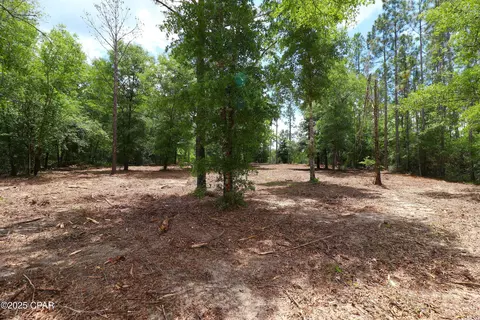 lot1 Flagler Dr, Chipley, FL 32428 photo 11