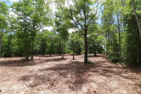 lot1 Flagler Dr, Chipley, FL 32428 photo 12