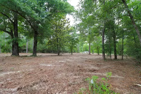 lot1 Flagler Dr, Chipley, FL 32428 photo 14