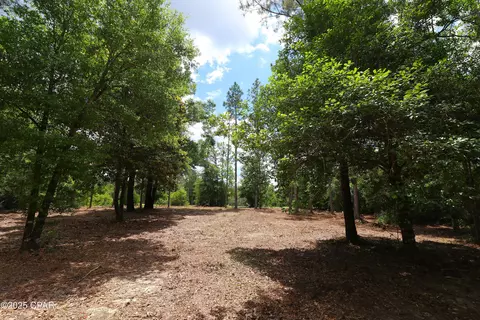 lot1 Flagler Dr, Chipley, FL 32428 photo 13