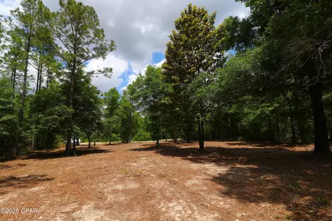 lot1 Flagler Dr, Chipley, FL 32428 photo 16