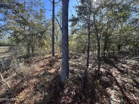 lot17 Shelby Ct, Chipley, FL 32428