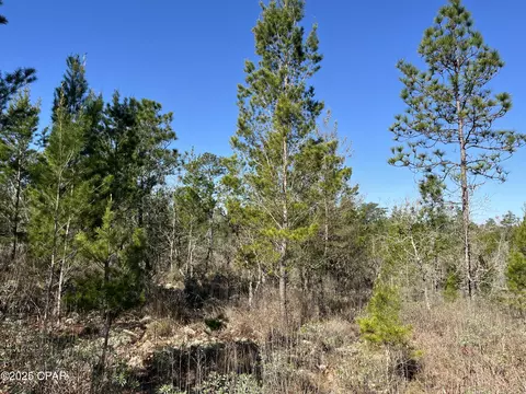 lot18 Carey Blvd, Chipley, FL 32428