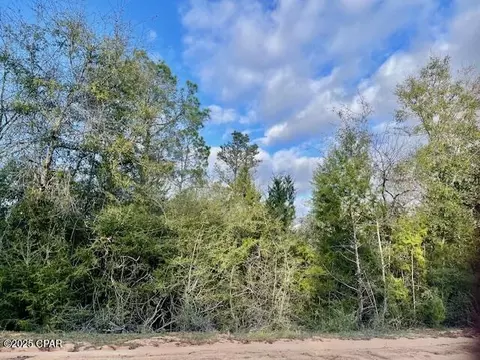 lot38 Dorcas Rd, Marianna, FL 32448