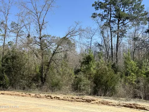 Tract 6411 White Road Open Creek Road, Chipley, FL 32428