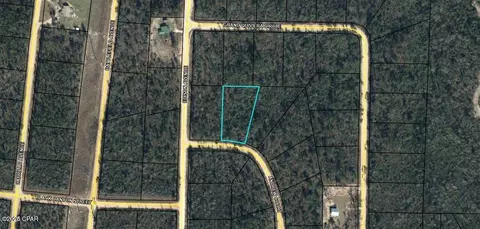 0 Andrew Ct, Alford, FL 32420