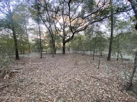 Nn Spendabuck Court, Chipley, FL 32428