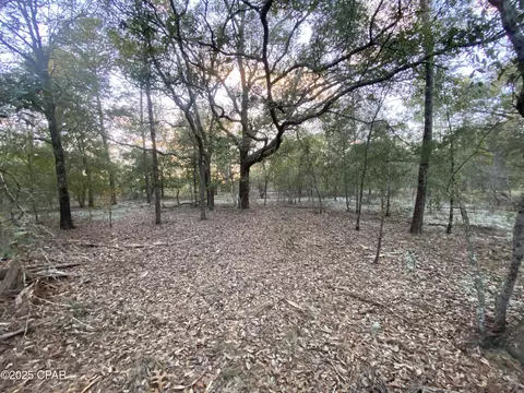 Nn Spendabuck Court, Chipley, FL 32428