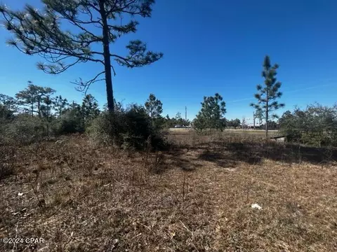 Other - 00 NW County Rd 274, Altha, FL 32421 photo 9 of 10