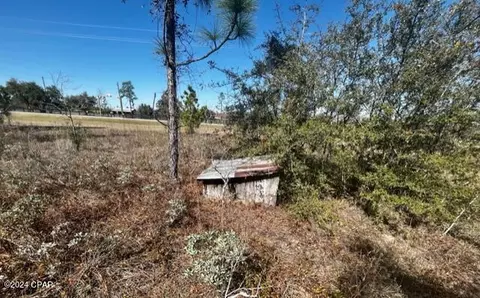 Other - 00 NW County Rd 274, Altha, FL 32421 photo 8 of 10