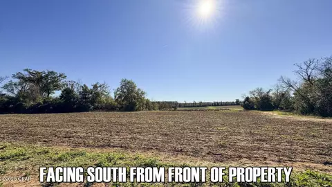 0 Sand Basin Rd, Sneads, FL 32460 photo 5