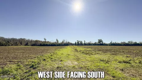 0 Sand Basin Rd, Sneads, FL 32460 photo 3