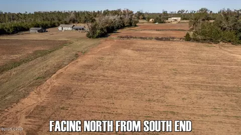0 Sand Basin Rd, Sneads, FL 32460 photo 10