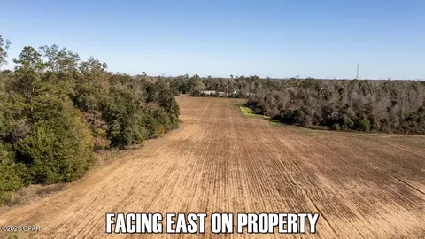 0 Sand Basin Rd, Sneads, FL 32460 photo 12
