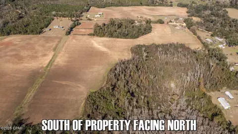 0 Sand Basin Rd, Sneads, FL 32460 photo 14