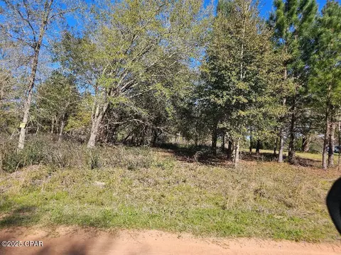 0 Mcpherson Dr, Alford, FL 32420