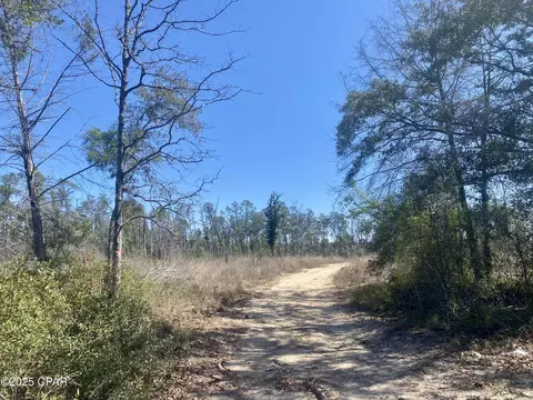 50 Acres Nw Sellers Rd, Bristol, FL 32321