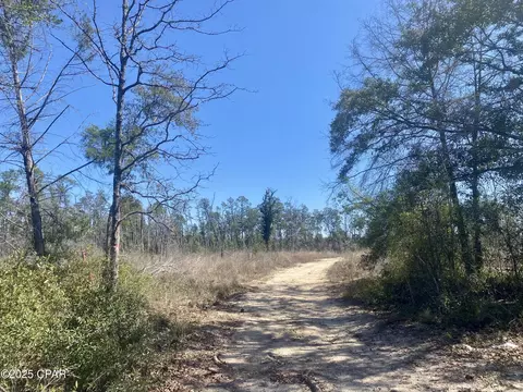 50 Acres Nw Sellers Rd, Bristol, FL 32321