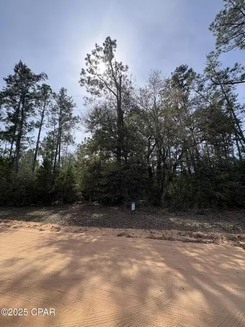 00 Mcduff Dr, Alford, FL 32420