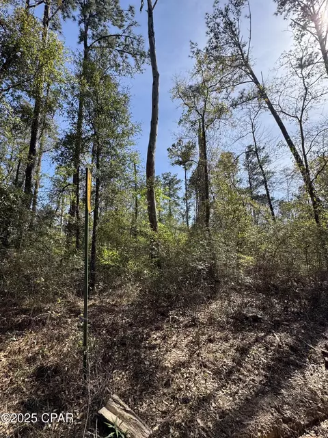 00 Sunday Rd, Chipley, FL 32428 photo 5