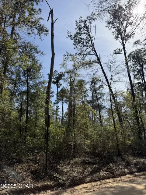 00 Sunday Rd, Chipley, FL 32428 photo 2