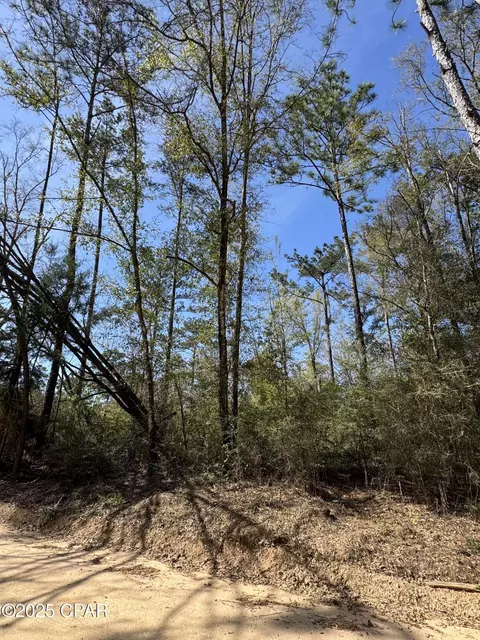 00 Sunday Rd, Chipley, FL 32428 photo 3