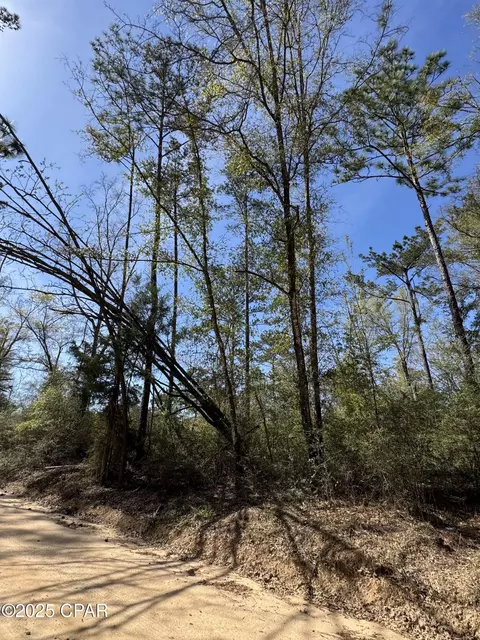 00 Sunday Rd, Chipley, FL 32428 photo 4