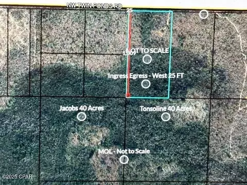 0 NW Camp Head Rd, Altha, FL 32421 photo 2