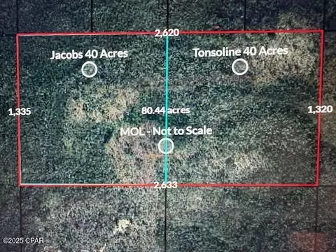 0 NW Camp Head Rd, Altha, FL 32421